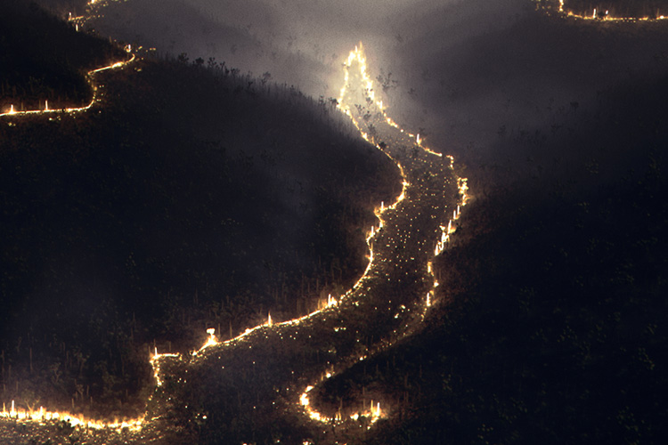 drylight