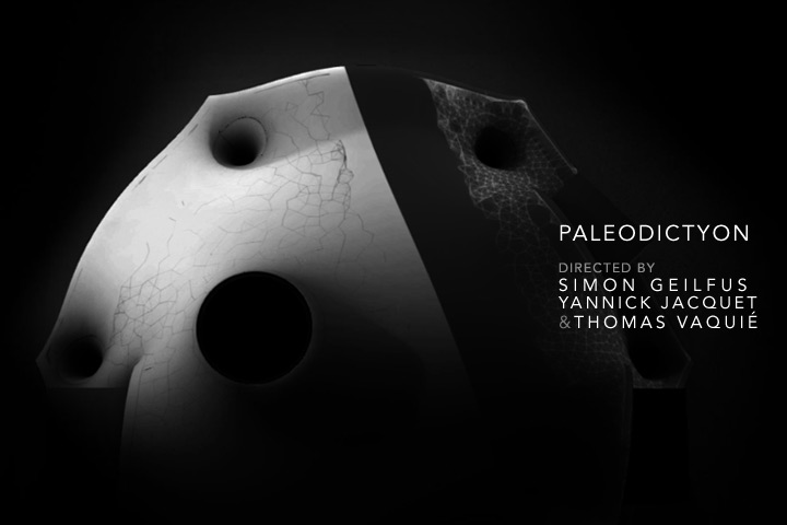 paleodictyon.jpg
